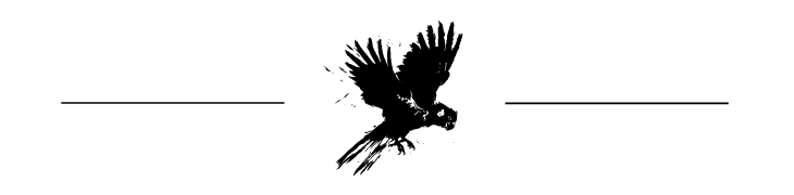 Bird and Barrel Wines Logo with Black Cockatoo